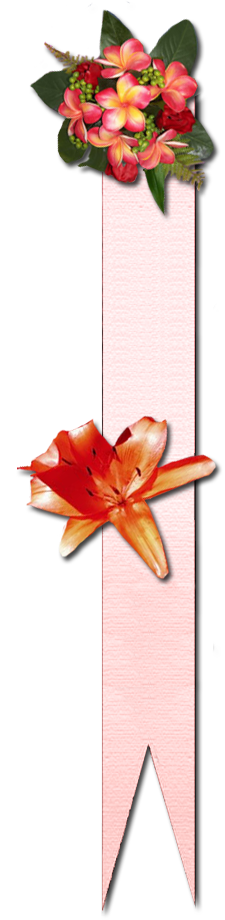 bible bookmark and happy pictures of customers